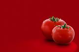 Two tomatoes on red background