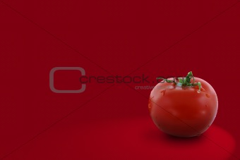 Red tomato on red background
