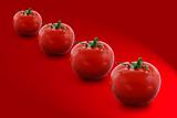 Four tomatoes on red background