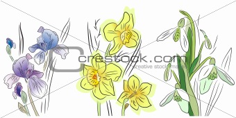 Pretty collection of spring flowers