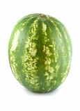 Juicy water melon