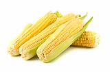Ripe yellow corn