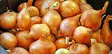 Orange Onions Background