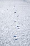 footsteps on snow