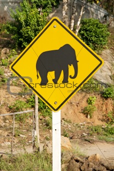 elephant crossing road sign in thailand