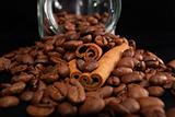 grains of coffee and stick cinnamon