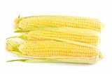 Three yellow corn on the cob