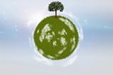 Green grass sphere with single tree