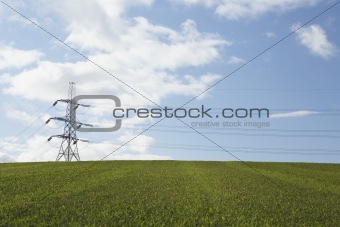 Electricity Pylons In A Paddock