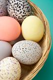 Colorful Eggs In A Basket
