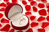 Diamond Ring In Heart Shaped Box Surrounded By Rose Petals
