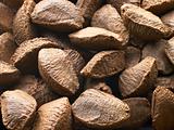 Brazil Nut Shells