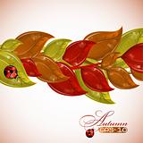 Autumn branches tree with ladybug, vector