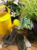 Watering Can And Trowel Next To Plants