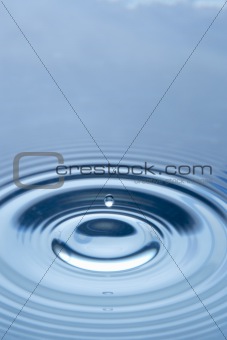 Concentric Circles Forming In Still Water