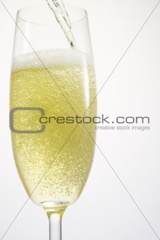 Single Champagne Flute