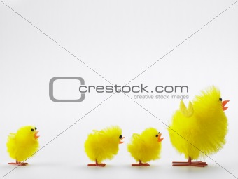Family Of Easter Chicks