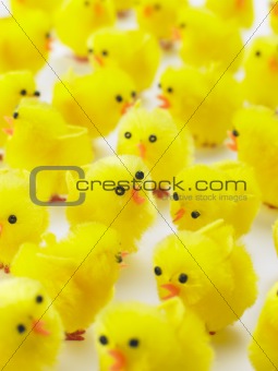 Abundance Of Easter Chicks