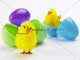 Easter Chicks Hatching Out Of Eggs