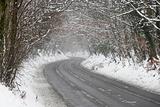 Country Road Lined With Snow And Skeletal Trees