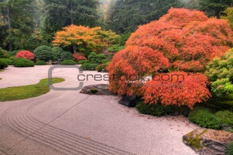 Autumn colors in garden