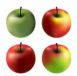 4 apples