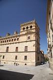 ancient building at Salamanca city