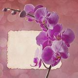 Vintage card with orchid