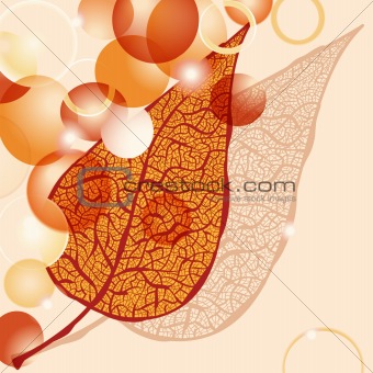 vector autumn leaf and bright balls