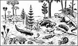 Paleozoic era