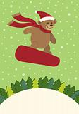 Teddy Bear Snowboarding