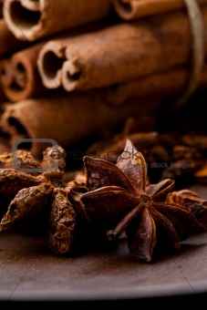 Star aniseed and cinnamon sticks