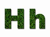 Grass Letters