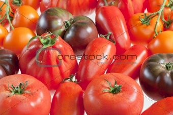 still life of tomatoes