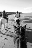 pony trekking on a sandy beach