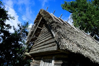 House whose roof were maded from reed