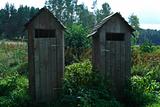 Wheathered wooden toilets standing in green swamp