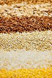 Various grains close up