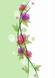 Colorful beauty flowers background - vector