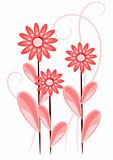 Red and pink flowers - beauty vector