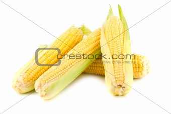 Yellow corn on the cob