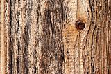 knot in wood - wood texture