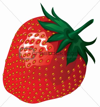  strawberry illustration
