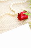 romantic background with rose and pearls