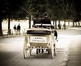 Just married carriage