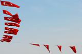 Turkey flags