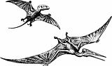Pterodactyl or Pteranodon dinosaur