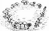 Field of  mushrooms