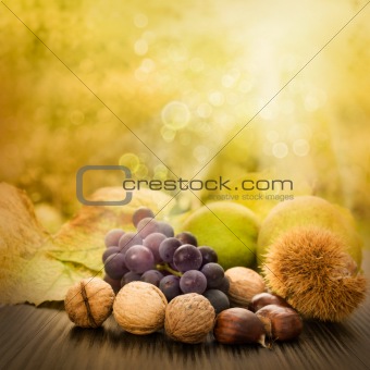 Set of autumn fruit