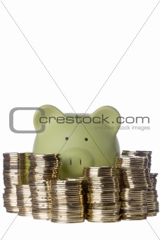 Piggy Bank and Coins